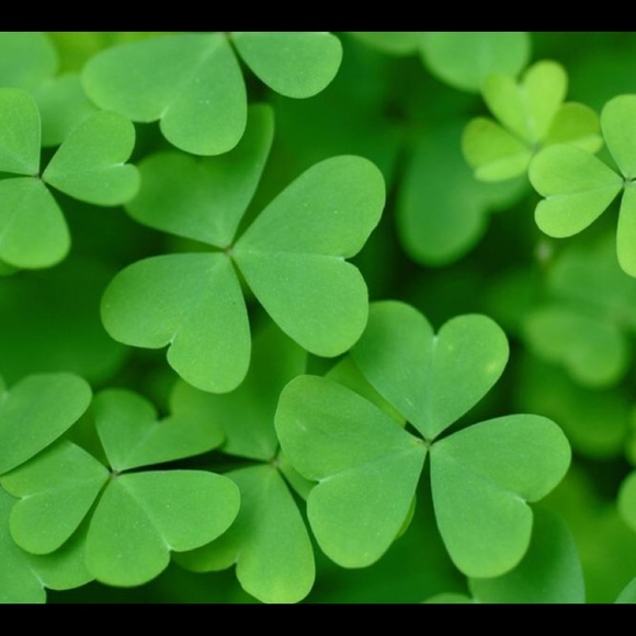 Good Luck! - Picture 1 of 1